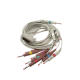Welch Allyn 719653 10-Lead ECG Cable With Banana Connectors